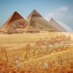 第319次接觸報告