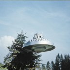 科学专家对Meier（案例）证据的评论