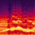 光船频谱图对比