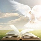 靈性教導簡介 （靈識開導）