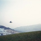 第013次接觸報告