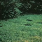 第016次接觸報告