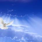 第040次接觸報告