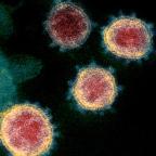 關於冠狀病毒的新消息，以及需要合理考慮的事項