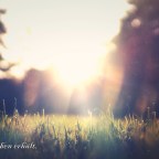 Stimme der Wassermannzeit – Die Liebe der Schöpfung (DE)