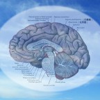 地球上的所有人都應該知道的事！