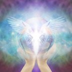 第778次接觸報告