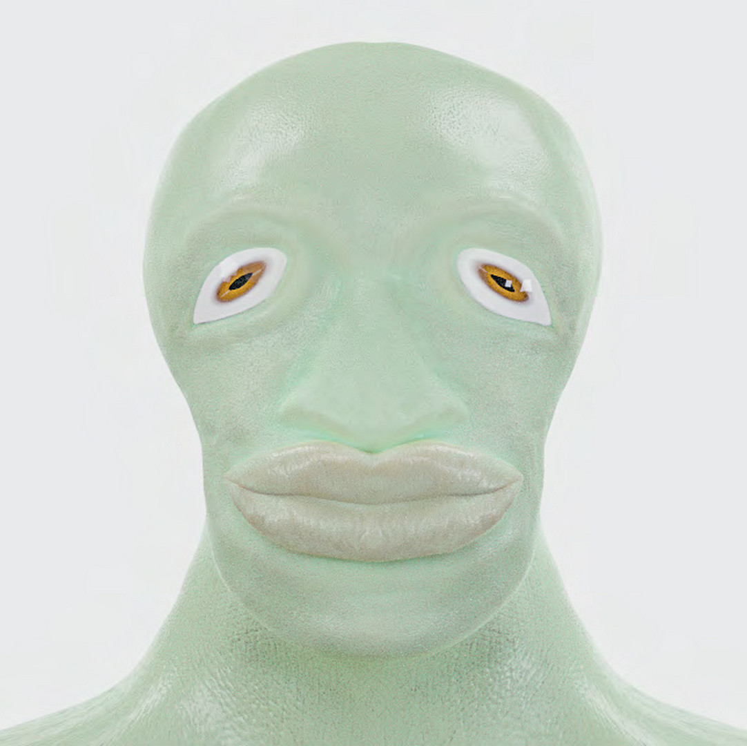 830-03-20-CR830-Image20