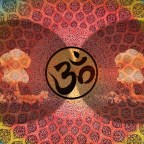 第191次接觸報告