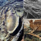 第248次接觸報告