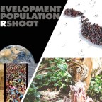 第911次接觸報告